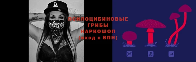 ALPHA PVP Кинешма